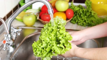 Level 2 Award in Food Safety in Catering