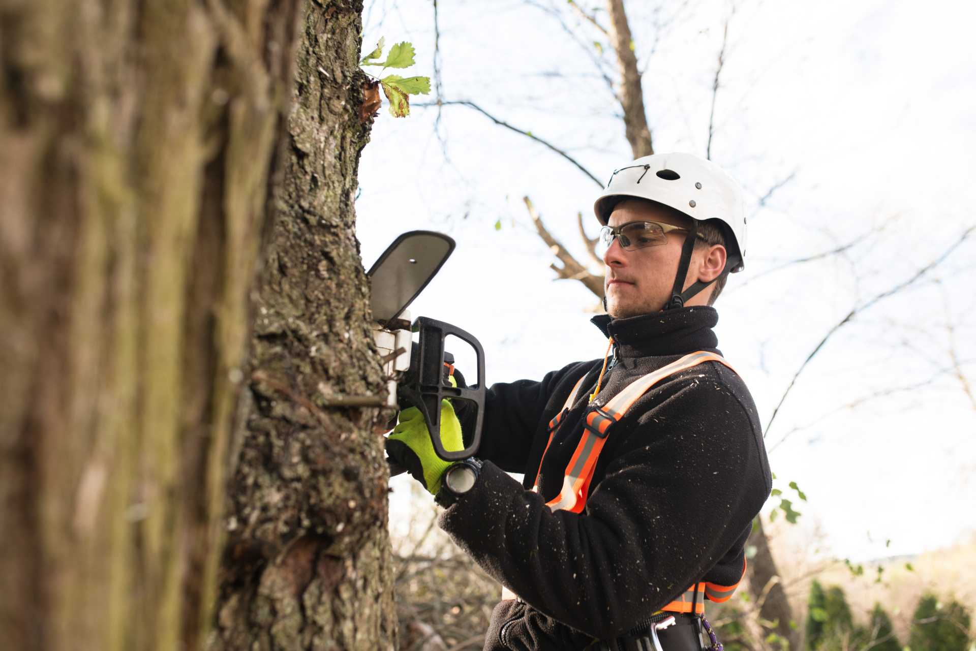 Forestry First Aid +F